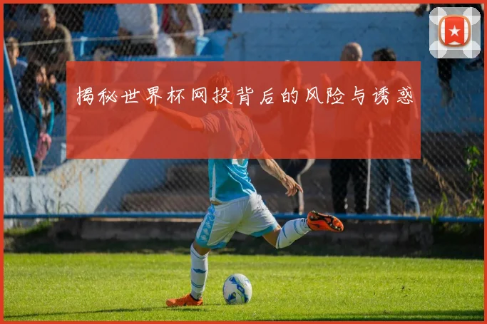 揭秘世界杯网投背后的风险与诱惑