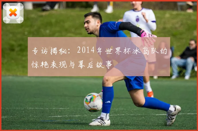 专访揭秘：2014年世界杯冰岛队的惊艳表现与幕后故事