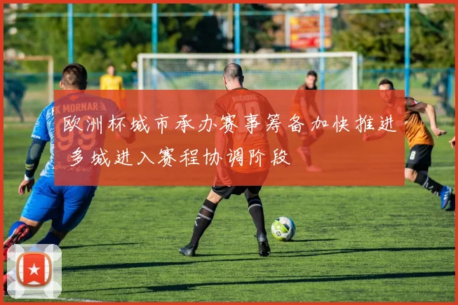 欧洲杯城市承办赛事筹备加快推进 多城进入赛程协调阶段