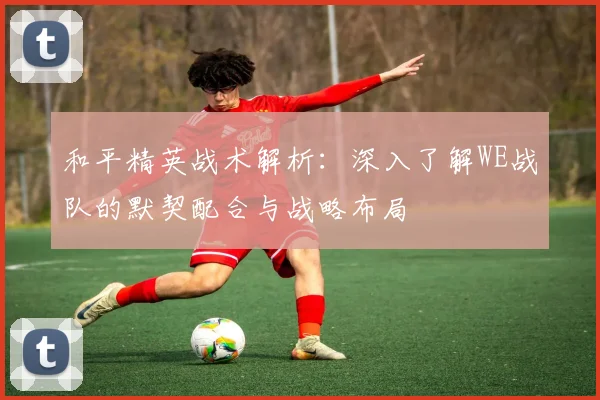 和平精英战术解析：深入了解WE战队的默契配合与战略布局