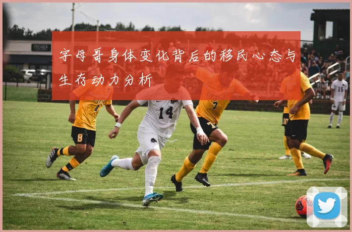 字母哥身体变化背后的移民心态与生存动力分析