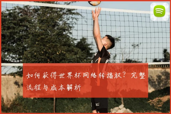 如何获得世界杯网络转播权?完整流程与成本解析