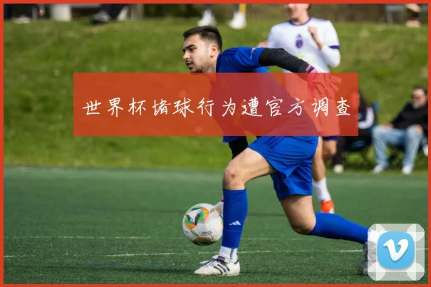 世界杯堵球行为遭官方调查